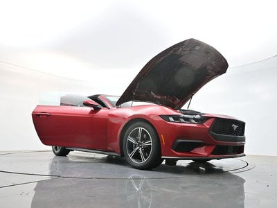 2024 Ford Mustang EcoBoost Premium