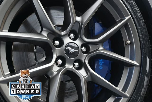 2024 Ford Mustang Dark Horse