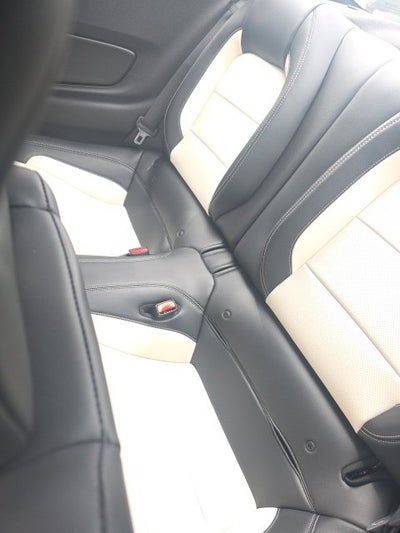 2015 Ford Mustang GT 50 Years Limited Edition