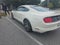 2015 Ford Mustang GT 50 Years Limited Edition