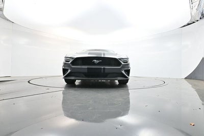 2022 Ford Mustang EcoBoost