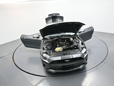 2022 Ford Mustang EcoBoost