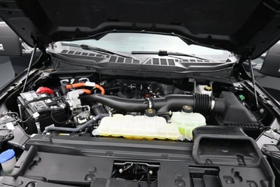 2025 Ford F-150 XLT Hybrid - 23 Combined MPG!