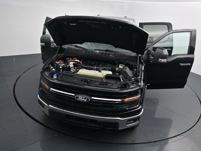 2025 Ford F-150 XLT Hybrid - 23 Combined MPG!