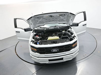 2024 Ford F-150 XL
