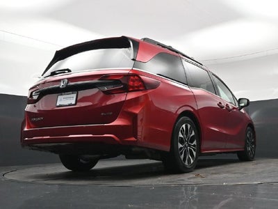 2025 Honda Odyssey Elite