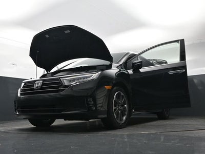 2024 Honda Odyssey Elite