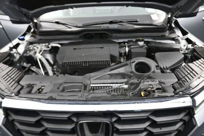 2024 Honda Pilot EX-L 8 Passenger